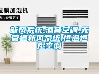 知識(shí)百科新風(fēng)系統(tǒng),酒窖空調(diào),無管道新風(fēng)系統(tǒng),恒溫恒濕空調(diào)