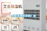 大型泳池除濕機(jī)廠家