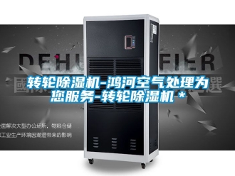 常見問題轉(zhuǎn)輪除濕機-鴻河空氣處理為您服務(wù)-轉(zhuǎn)輪除濕機＊
