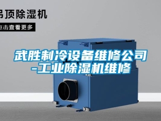 常見(jiàn)問(wèn)題武勝制冷設(shè)備維修公司-工業(yè)除濕機(jī)維修