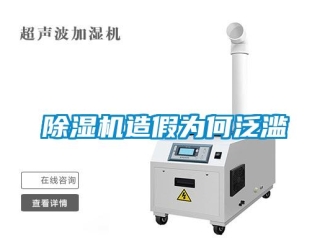 企業(yè)新聞除濕機造假為何泛濫