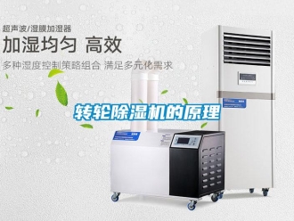 知識百科轉(zhuǎn)輪除濕機的原理