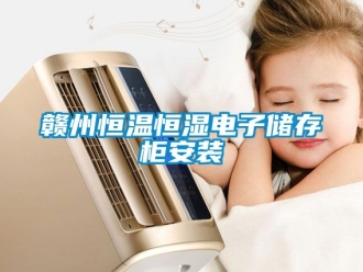 知識(shí)百科贛州恒溫恒濕電子儲(chǔ)存柜安裝