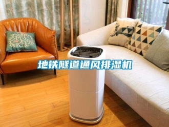 企業(yè)新聞地鐵隧道通風(fēng)排濕機(jī)