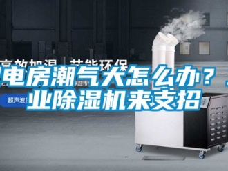 常見問題配電房潮氣大怎么辦？工業(yè)除濕機(jī)來支招