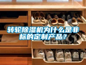 常見問題轉輪除濕機為什么是非標的定制產品？