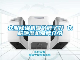 企業新聞衣服除濕機哪個牌子好 衣服除濕機品牌介紹