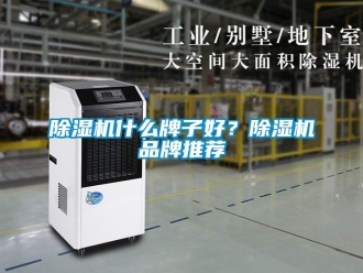 企業(yè)新聞除濕機(jī)什么牌子好？除濕機(jī)品牌推薦