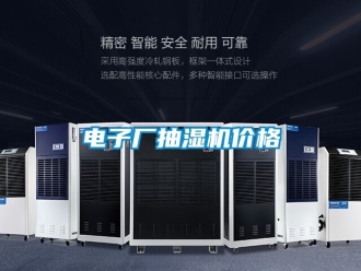 企業(yè)新聞電子廠抽濕機(jī)價(jià)格