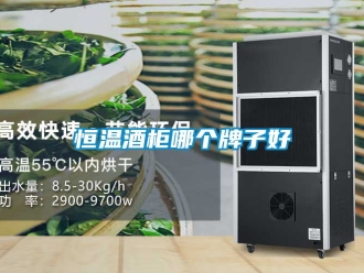 知識(shí)百科恒溫酒柜哪個(gè)牌子好