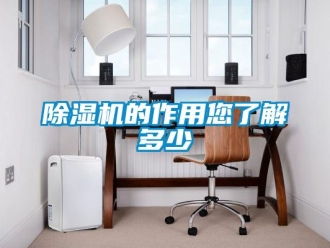 企業(yè)新聞除濕機(jī)的作用您了解多少