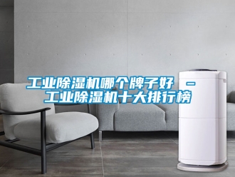 常見問題工業(yè)除濕機(jī)哪個牌子好 – 工業(yè)除濕機(jī)十大排行榜