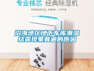 知識百科沿海地區地下車庫潮濕結露現象普遍的原因