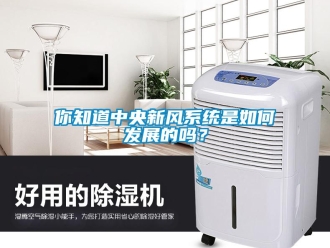 常見問題你知道中央新風系統是如何發展的嗎？