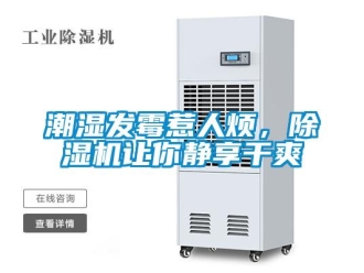 企業新聞潮濕發霉惹人煩，除濕機讓你靜享干爽