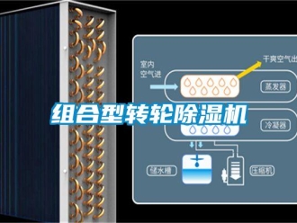 知識百科組合型轉(zhuǎn)輪除濕機