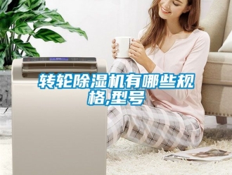 常見問題轉輪除濕機有哪些規格,型號