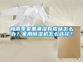 常見(jiàn)問(wèn)題梅雨季家里潮濕有霉味怎么辦？家用除濕機(jī)怎么選擇？