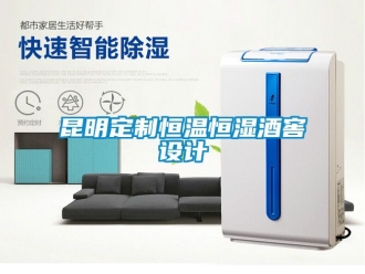 知識百科昆明定制恒溫恒濕酒窖設(shè)計