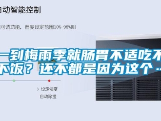 知識百科一到梅雨季就腸胃不適吃不下飯？還不都是因為這個…