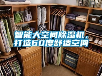 知識百科智能大空間除濕機，打造60度舒適空間