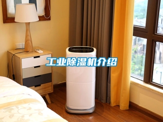 常見問題工業除濕機介紹