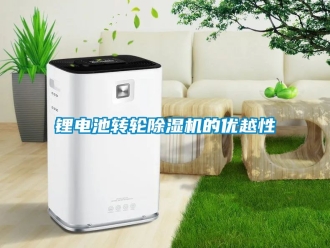 常見問題鋰電池轉(zhuǎn)輪除濕機的優(yōu)越性