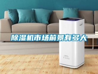 企業(yè)新聞除濕機市場前景有多大