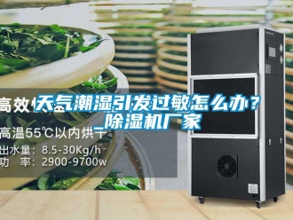 常見問題天氣潮濕引發(fā)過敏怎么辦？_除濕機(jī)廠家