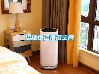 知識(shí)百科福建恒溫恒濕空調(diào)