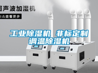 常見(jiàn)問(wèn)題工業(yè)除濕機(jī) 非標(biāo)定制調(diào)溫除濕機(jī)