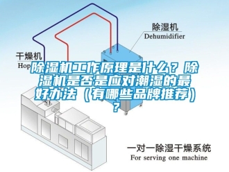 企業(yè)新聞除濕機工作原理是什么？除濕機是否是應(yīng)對潮濕的最好辦法（有哪些品牌推薦）？