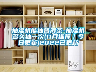 企業新聞抽濕機能抽普洱茶-抽濕機多久抽一次(11月推薦／今日更新)2022已更新