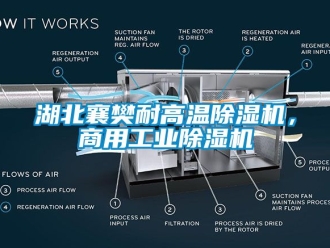 常見問題湖北襄樊耐高溫除濕機，商用工業除濕機