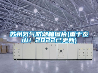 常見問題蘇州氮氣防潮箱圖片(重于泰山！2022已更新)