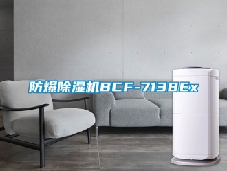 企業(yè)新聞防爆除濕機BCF-7138Ex