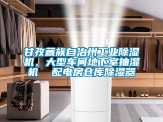 常見問題甘孜藏族自治州工業除濕機，大型車間地下室抽濕機  配電房倉庫除濕器