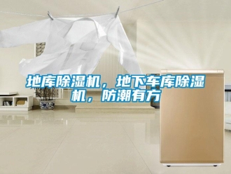 企業(yè)新聞地庫除濕機(jī)，地下車庫除濕機(jī)，防潮有方