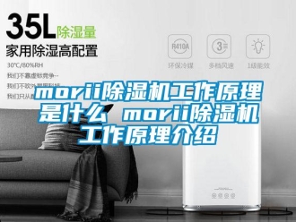 企業新聞morii除濕機工作原理是什么 morii除濕機工作原理介紹