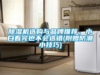 企業(yè)新聞除濕機選購與品牌推薦，小白看完也不會選錯(附贈防潮小技巧)