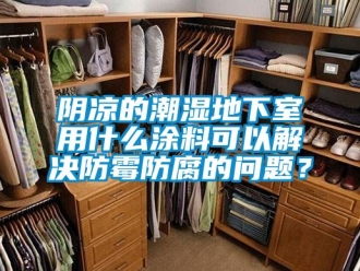 企業新聞陰涼的潮濕地下室用什么涂料可以解決防霉防腐的問題？