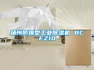 企業新聞揚州防爆型工業除濕機 BCFZ10