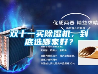 知識百科雙十一買除濕機，到底選哪家好？