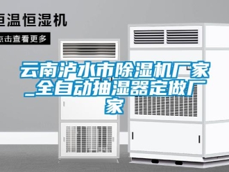企業新聞云南瀘水市除濕機廠家_全自動抽濕器定做廠家