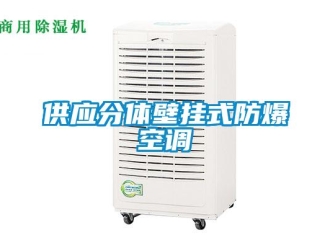 企業新聞供應分體壁掛式防爆空調