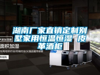 知識百科湖南廠家直銷定制別墅家用恒溫恒濕 皮革酒柜