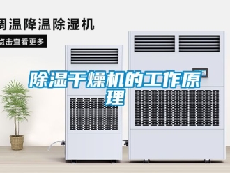 企業(yè)新聞除濕干燥機的工作原理