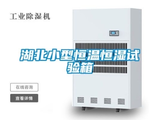 知識百科湖北小型恒溫恒濕試驗箱