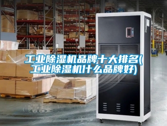 常見問(wèn)題工業(yè)除濕機(jī)品牌十大排名(工業(yè)除濕機(jī)什么品牌好)