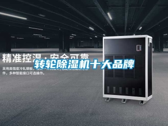 常見問題轉輪除濕機十大品牌